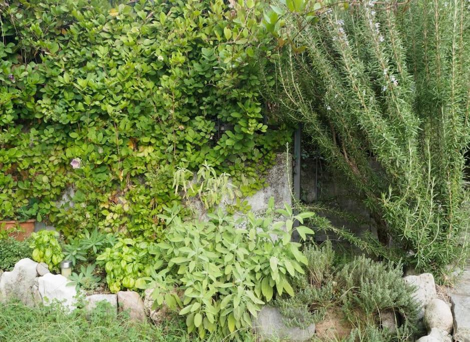 La Tua Villa Sul Lago - Casa Kollegger Luino Ngoại thất bức ảnh